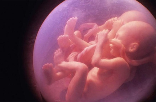 Вес ребенка по неделям беременности. Таблица, норма вес, рост, особенности развития