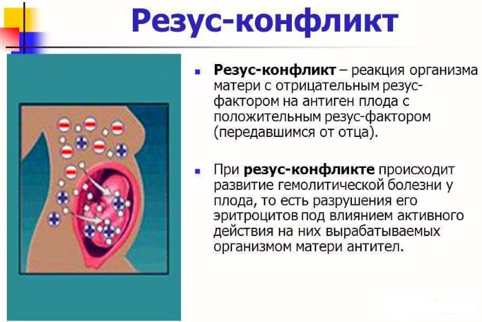 Вес ребенка по неделям беременности. Таблица, норма вес, рост, особенности развития