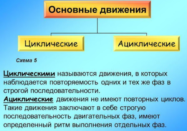 Виды спорта для детей циклические, ациклические. Список, какие лучше
