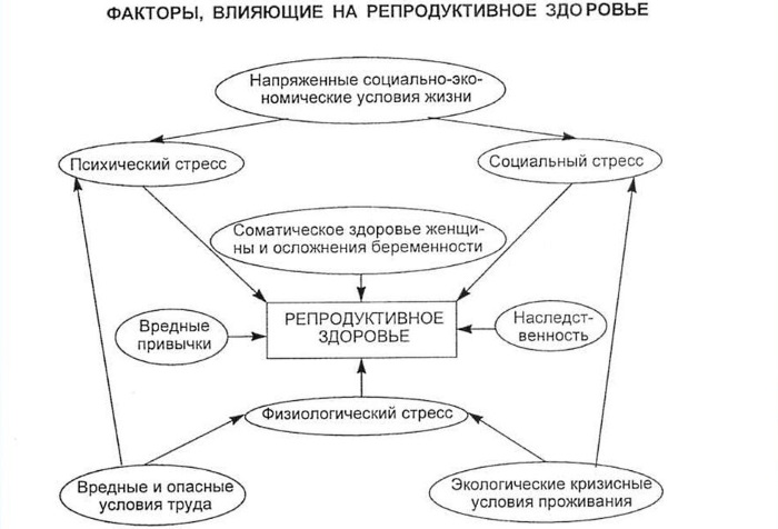 Витамины для зачатия ребенка для мужчин и женщин. Как принимать при планировании