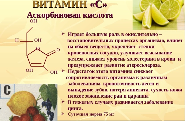 Витамины для зачатия ребенка для мужчин и женщин. Как принимать при планировании
