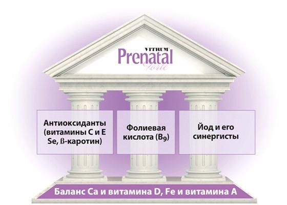Витрум Пренатал (Prenatal) для беременных. Инструкция применения, цена, отзывы