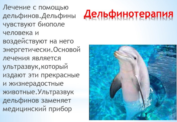 ЗРР (задержка речевого развития) у детей. Симптомы, лечение ребенка