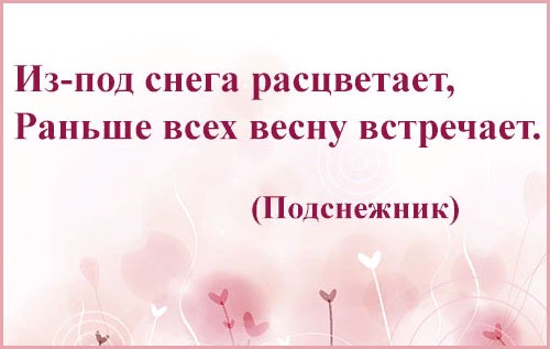 Загадки для детей с ответами короткие, смешные, обманки, придуманные, интересные, логические, на День рождения, про животных с картинками