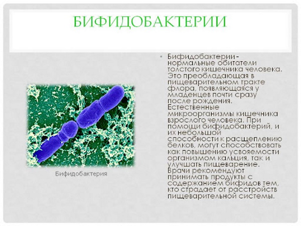 Зеленый стул у новорожденного ребенка. Причины